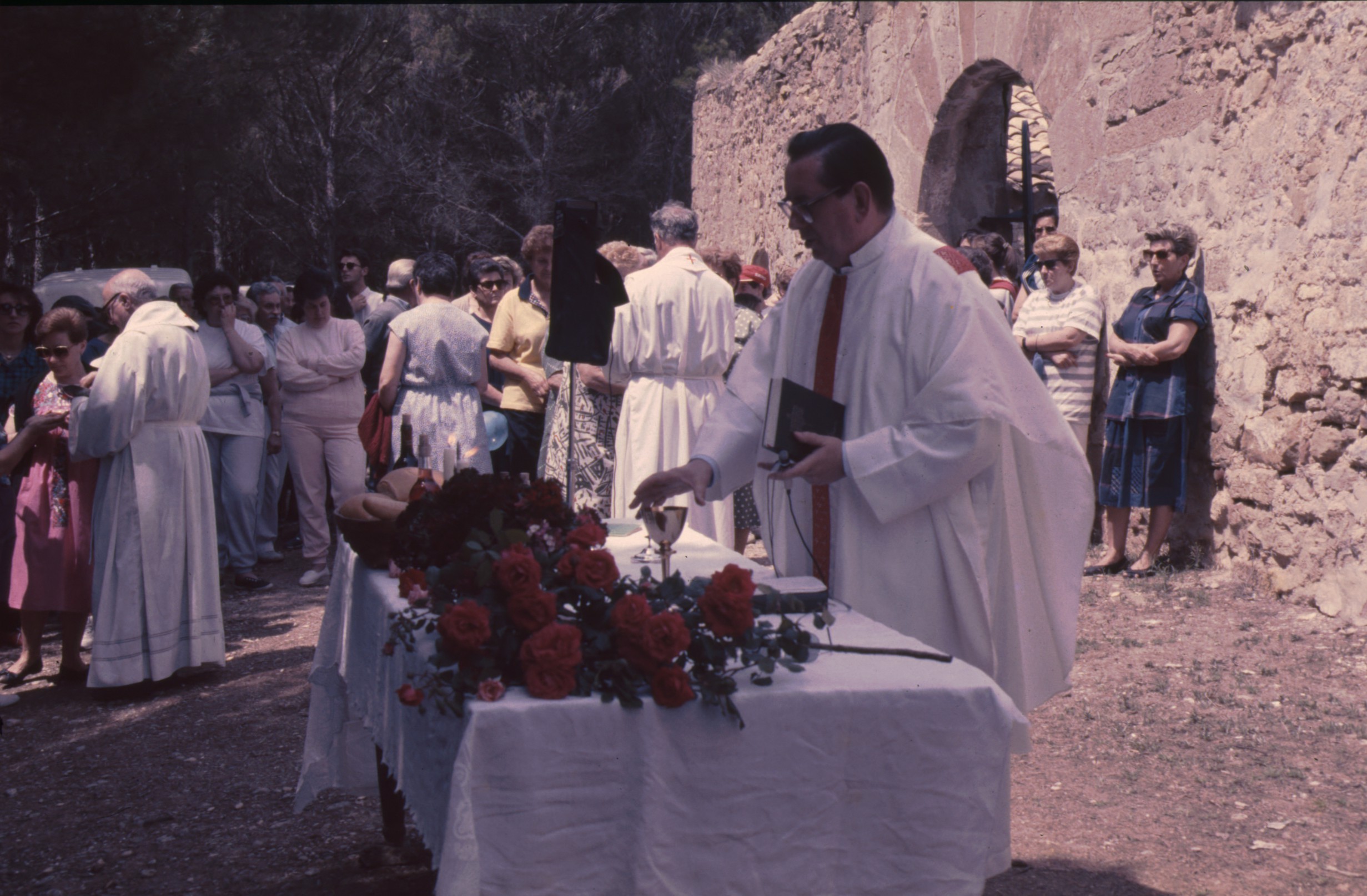 romeria_sta_birigida_olite_7.jpg