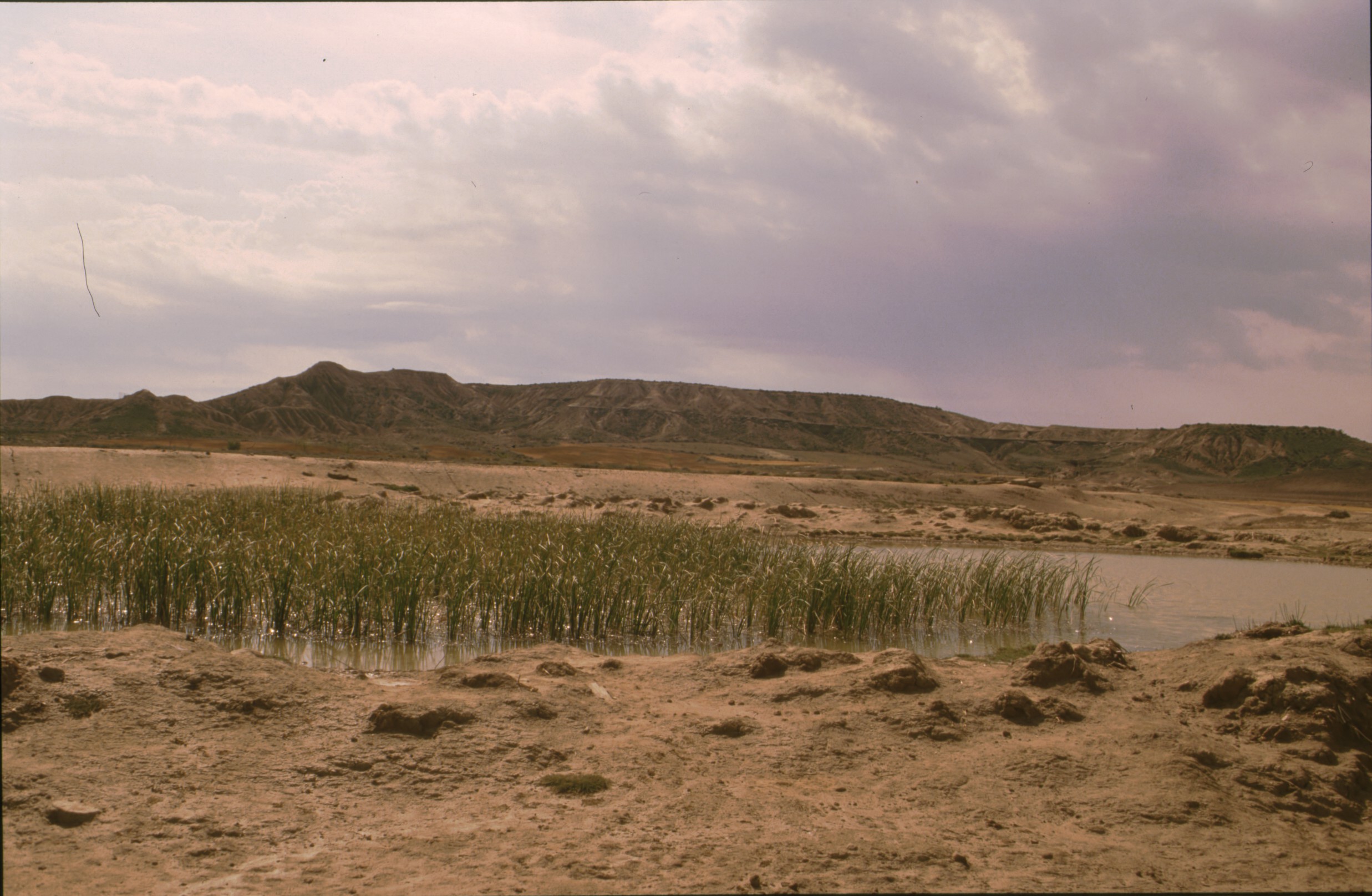 bardenas_43.jpg