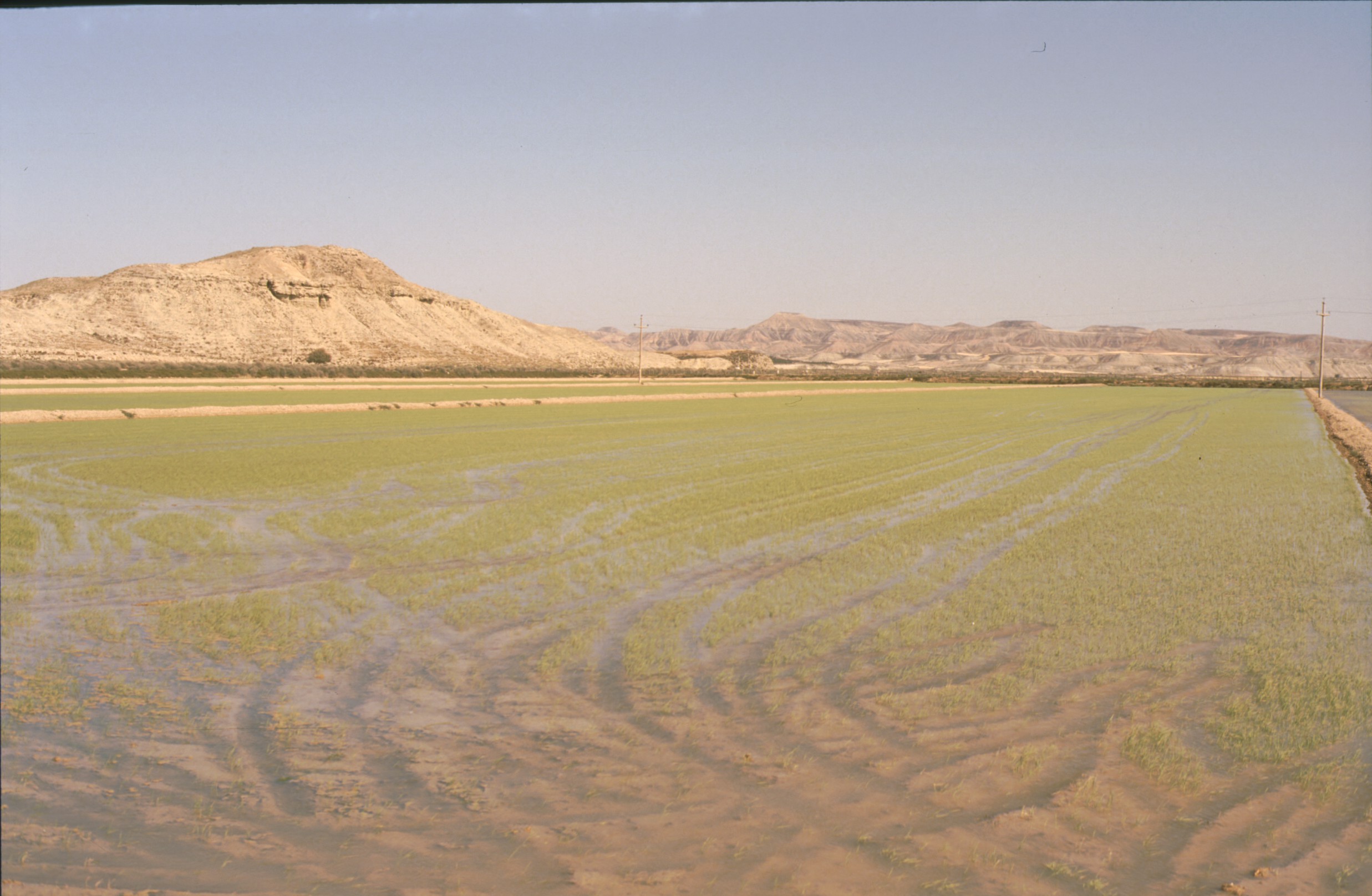 bardenas_48.jpg