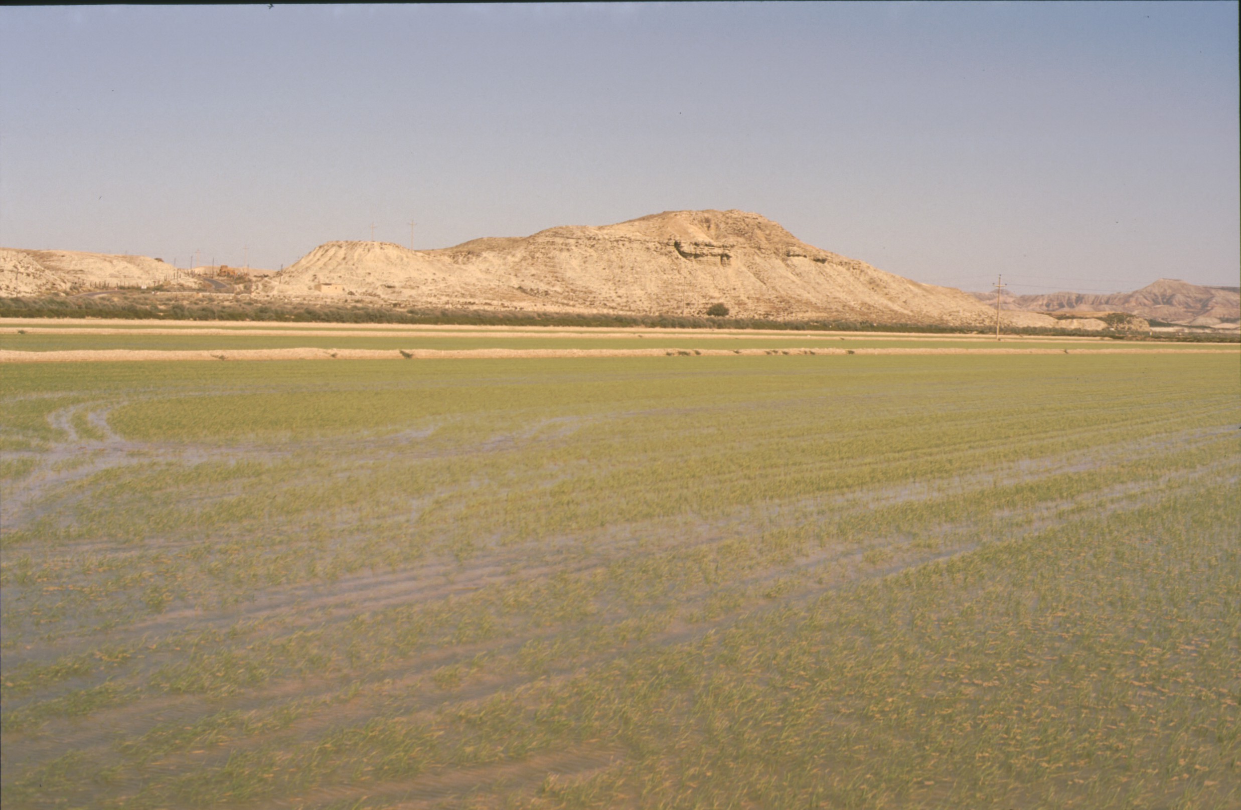 bardenas_49.jpg