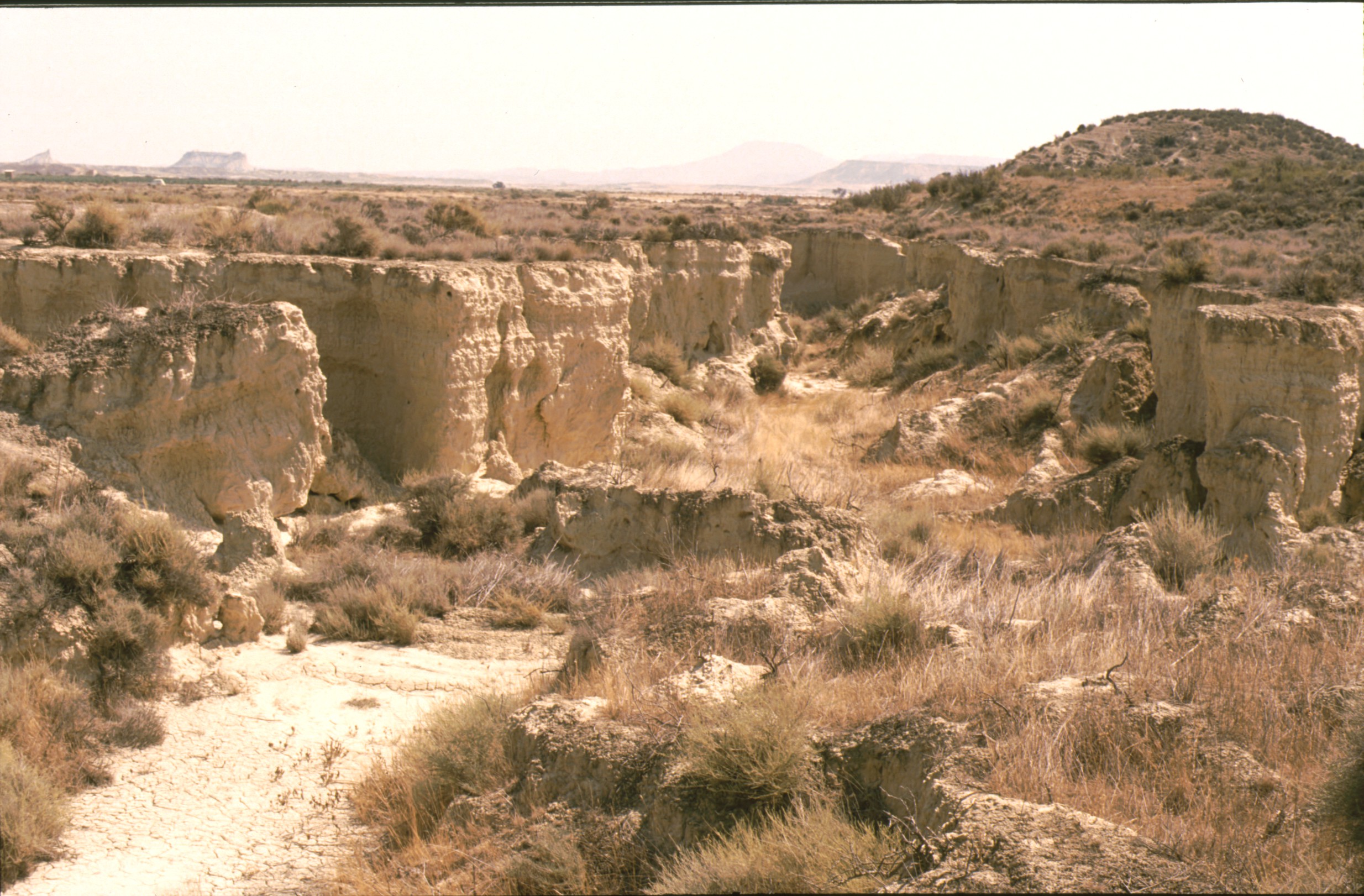 bardenas_56.jpg