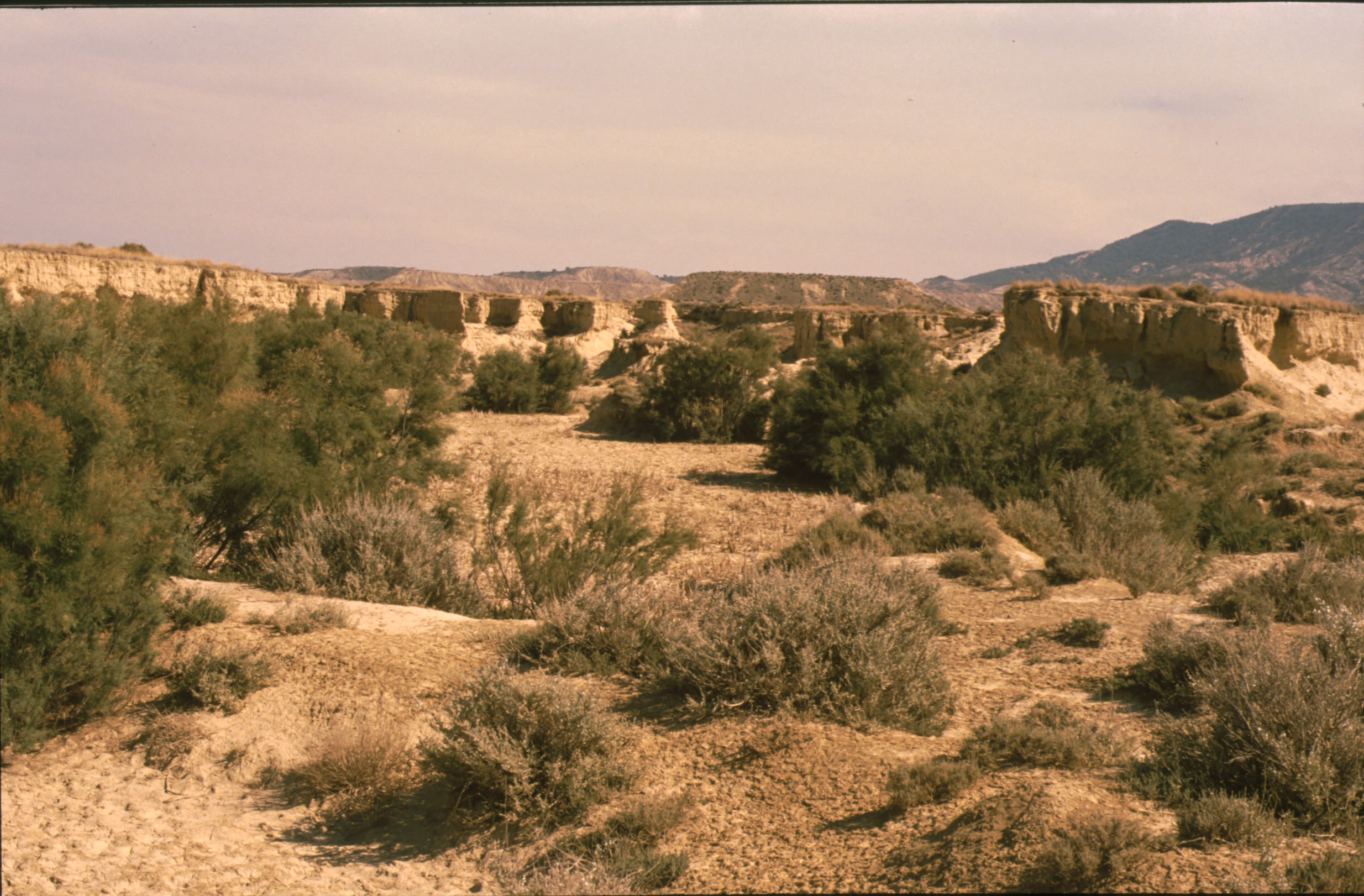 bardenas_58.jpg