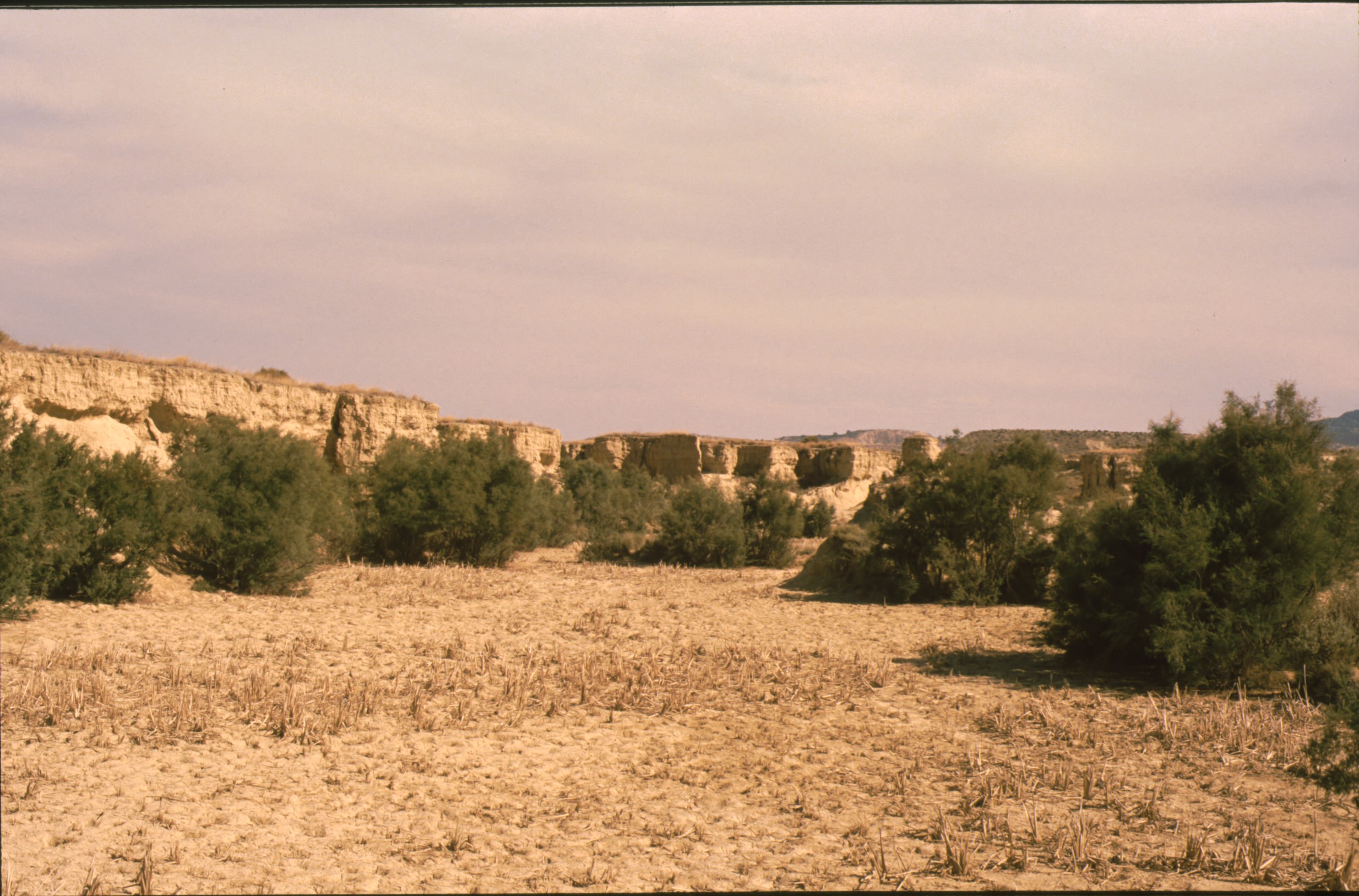 bardenas_59.jpg