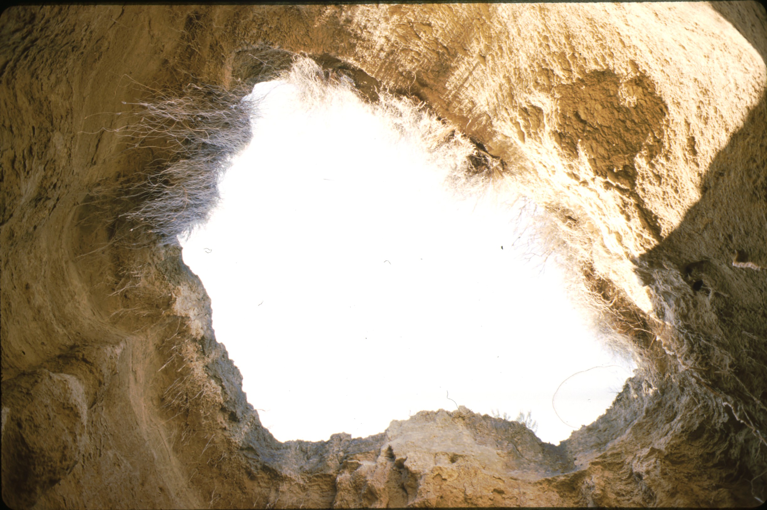 barranco_bodegas_bardenas_13.jpg