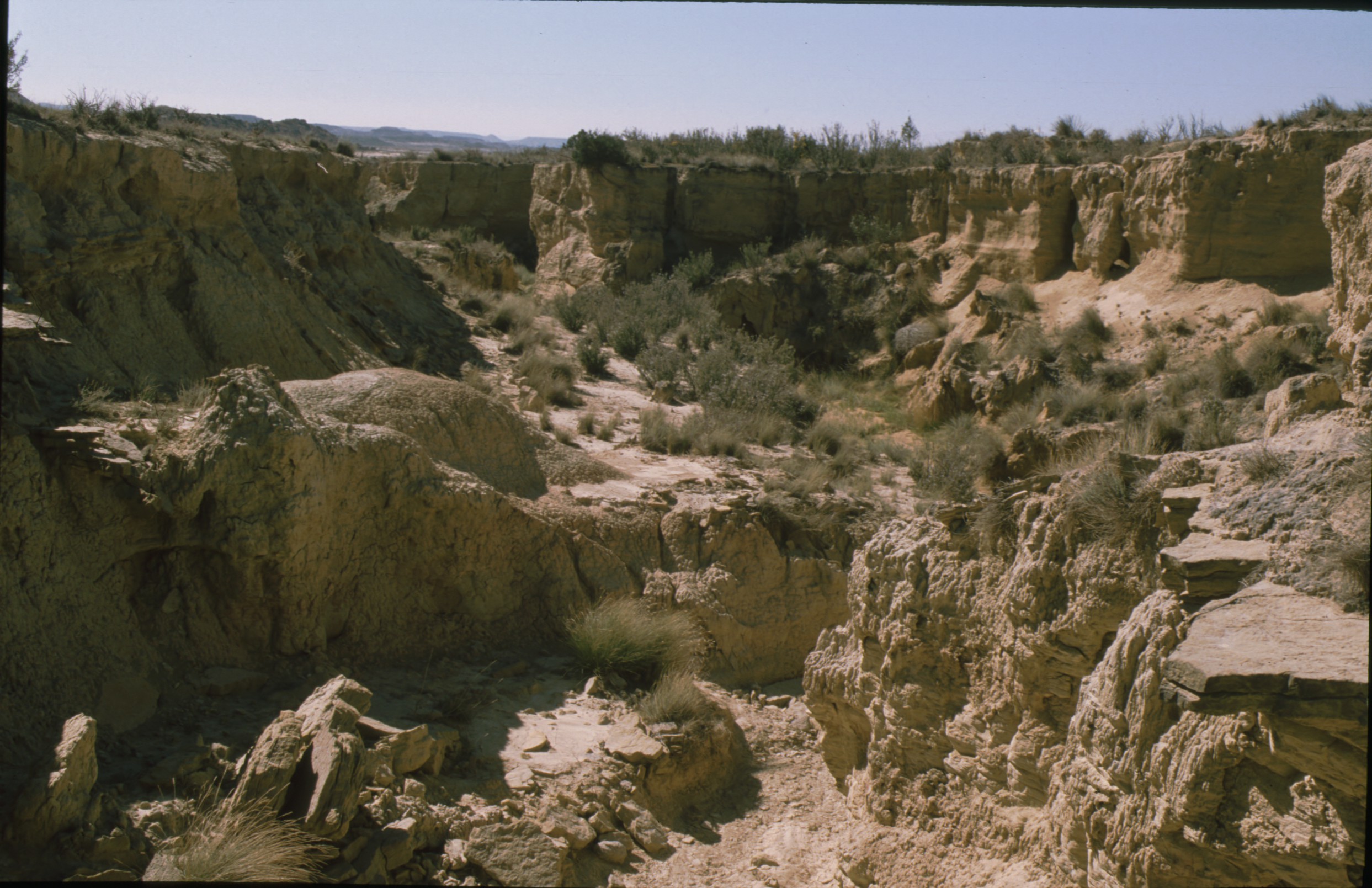 barranco_grande_blanca_alta_bardena.jpg