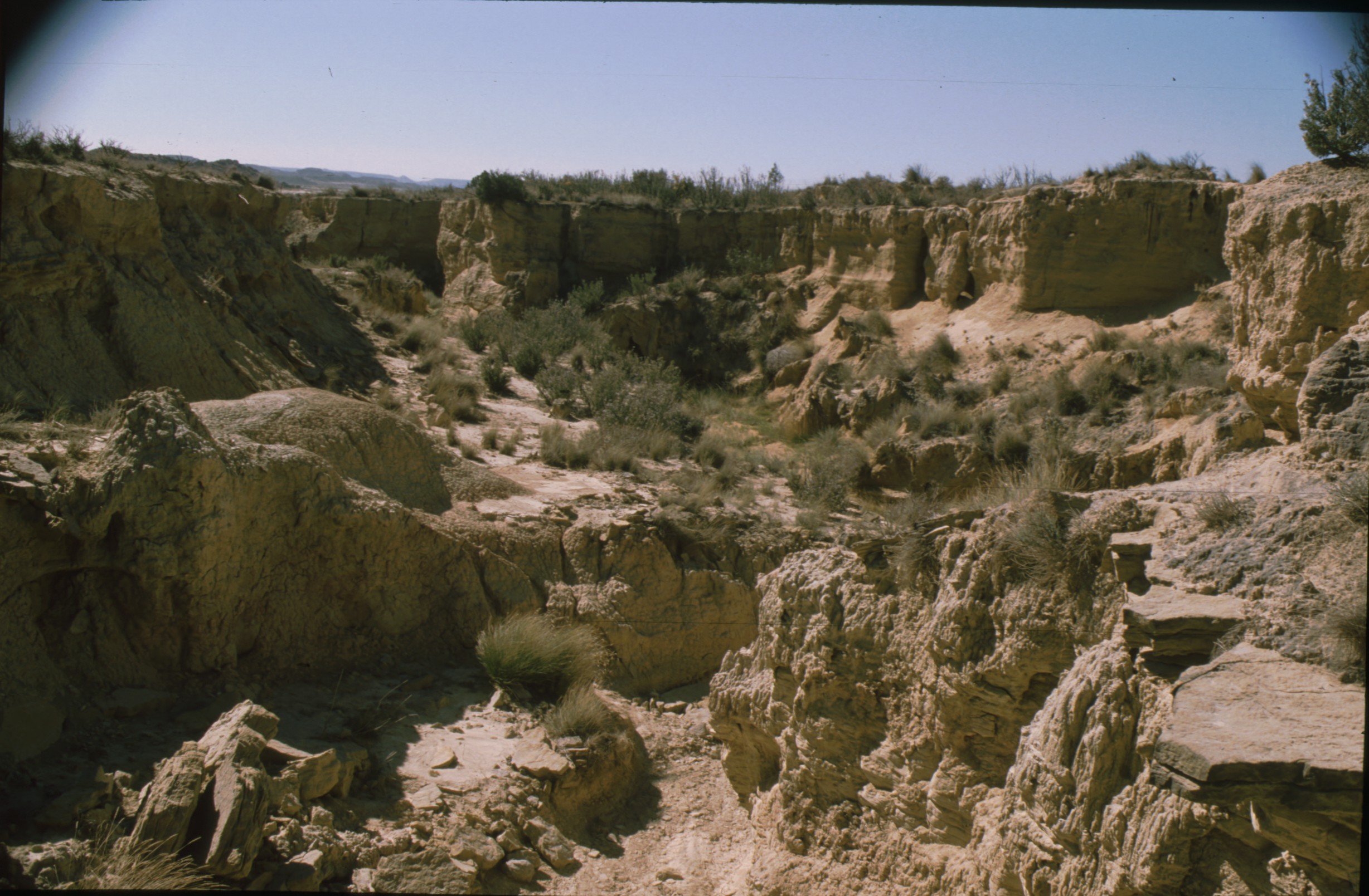 barranco_grande_blanca_alta_bardena_2.jpg