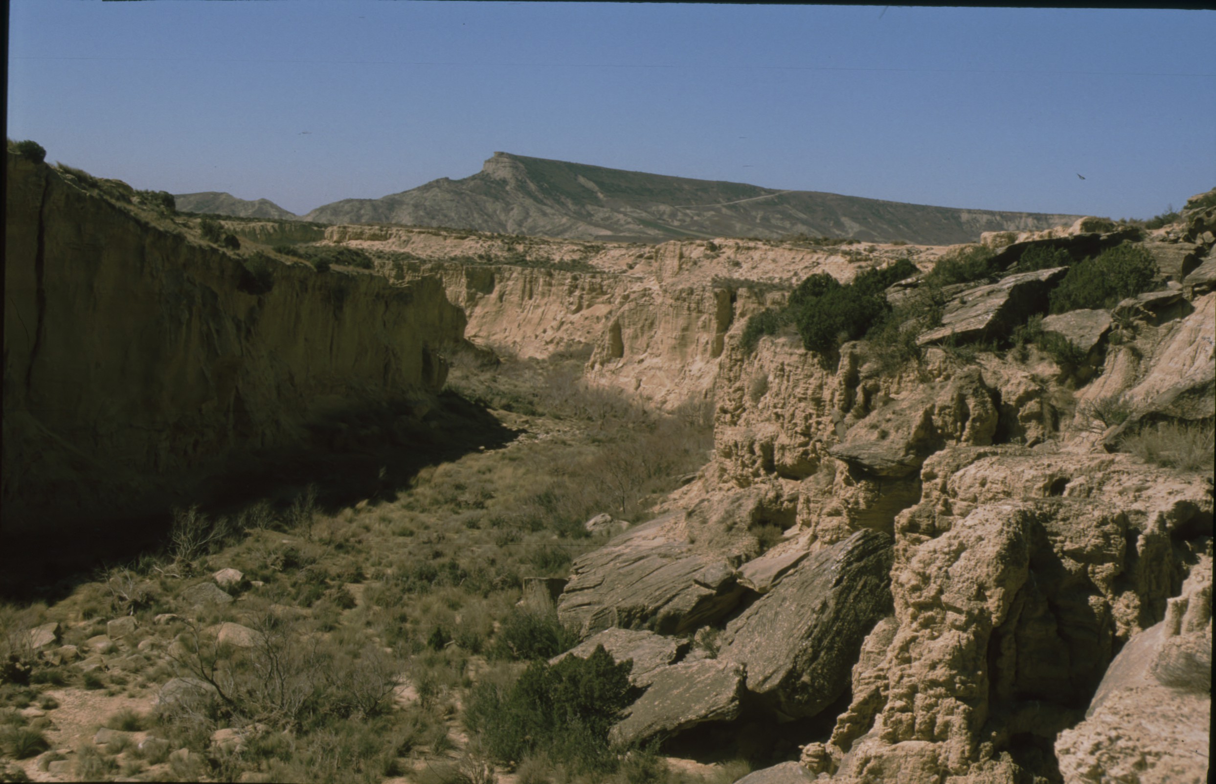 barranco_grande_blanca_alta_bardena_3.jpg