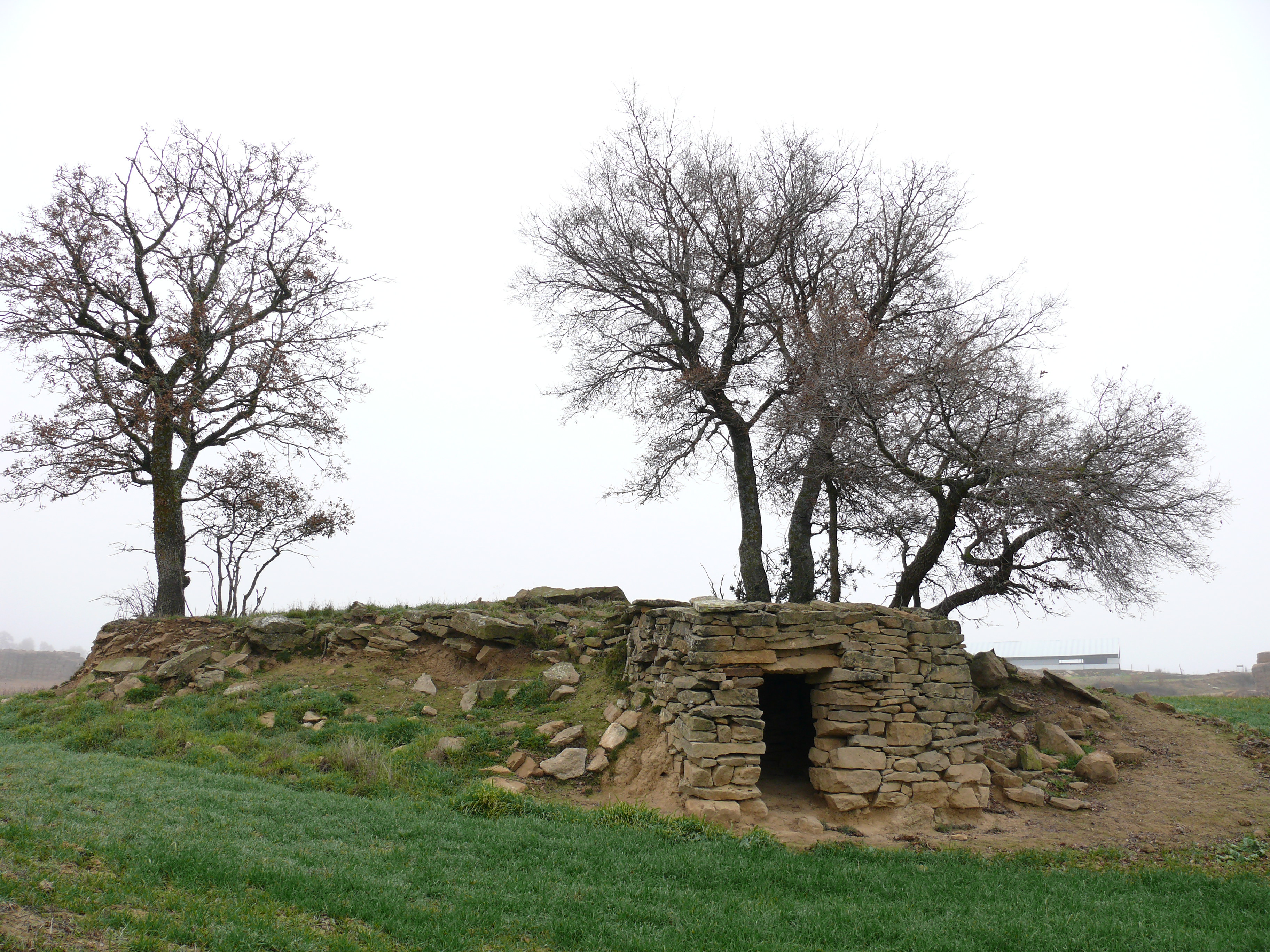Cabaña en el término de Aranbero. (JAV)