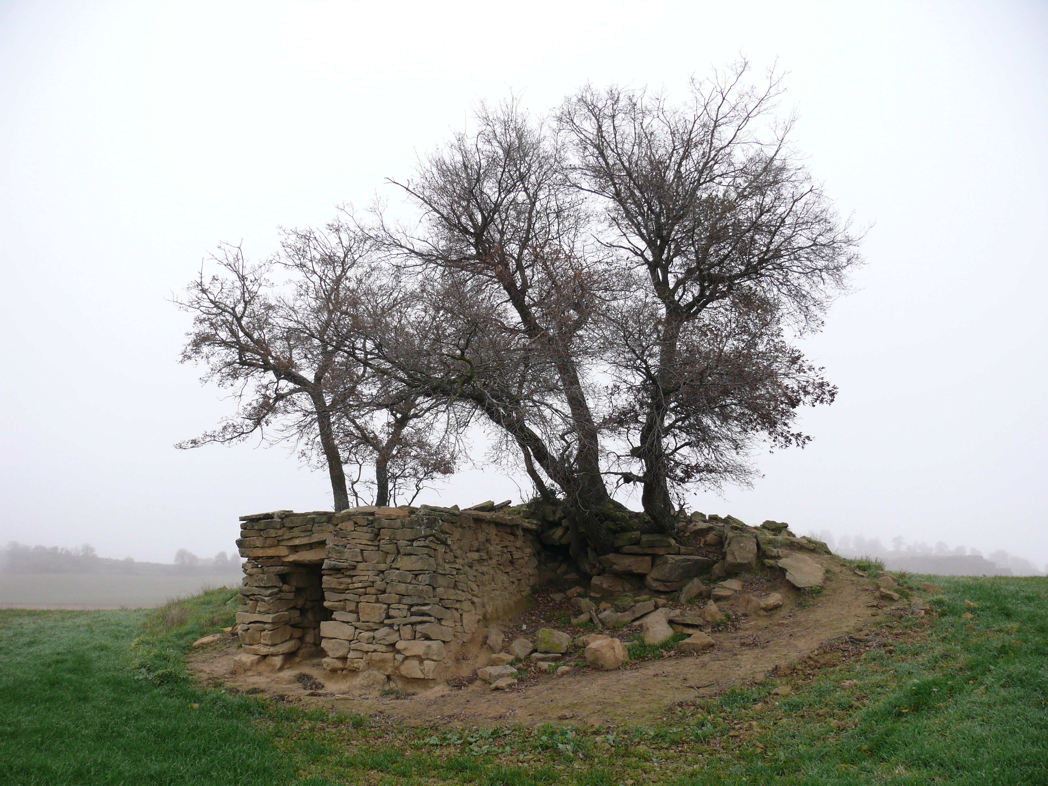 Otra vista de la misma cabaña. (JAV)