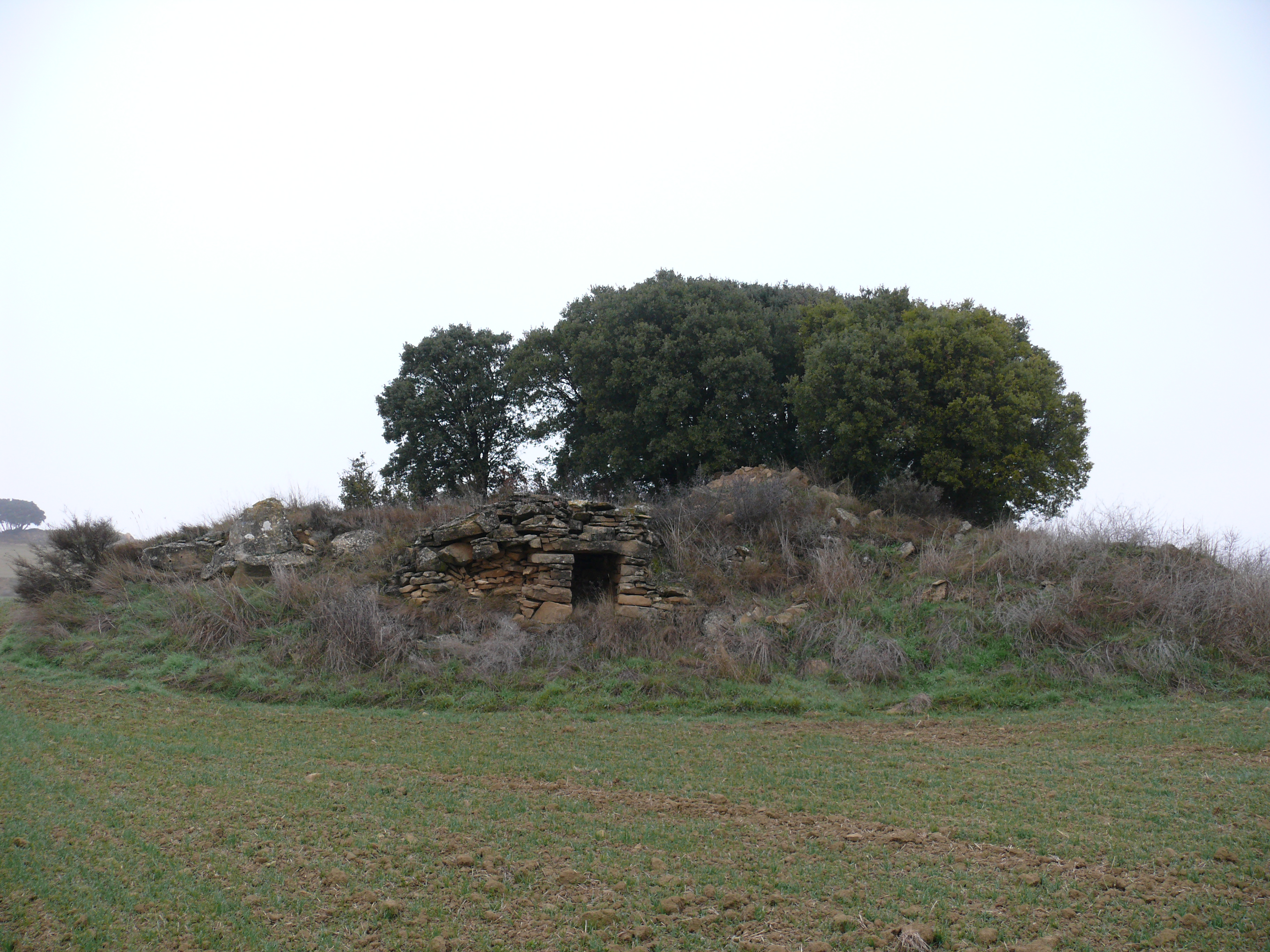 Cabaña en el término de Gollarren. (JAV)