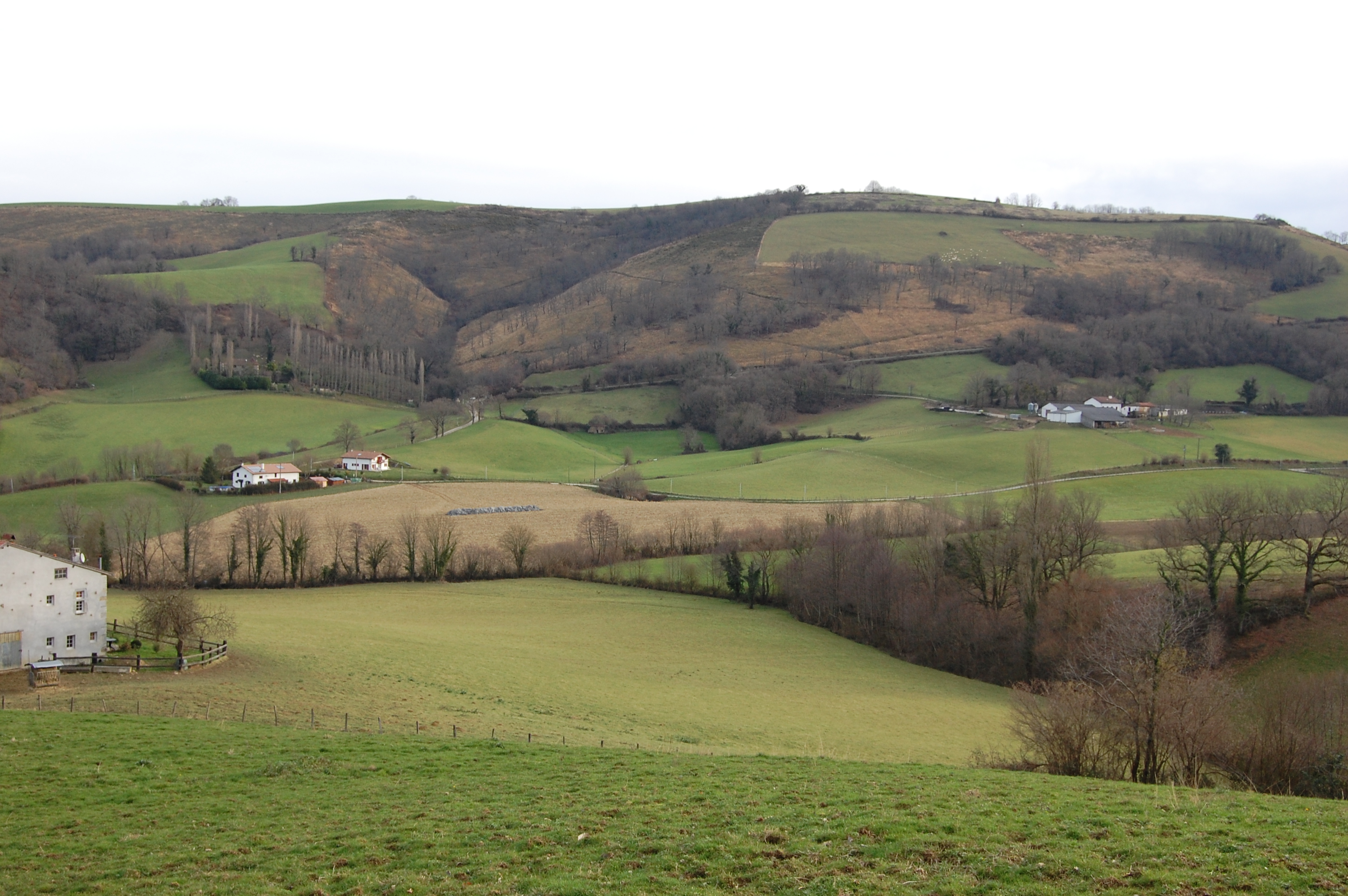 Barrios y casas dispersas