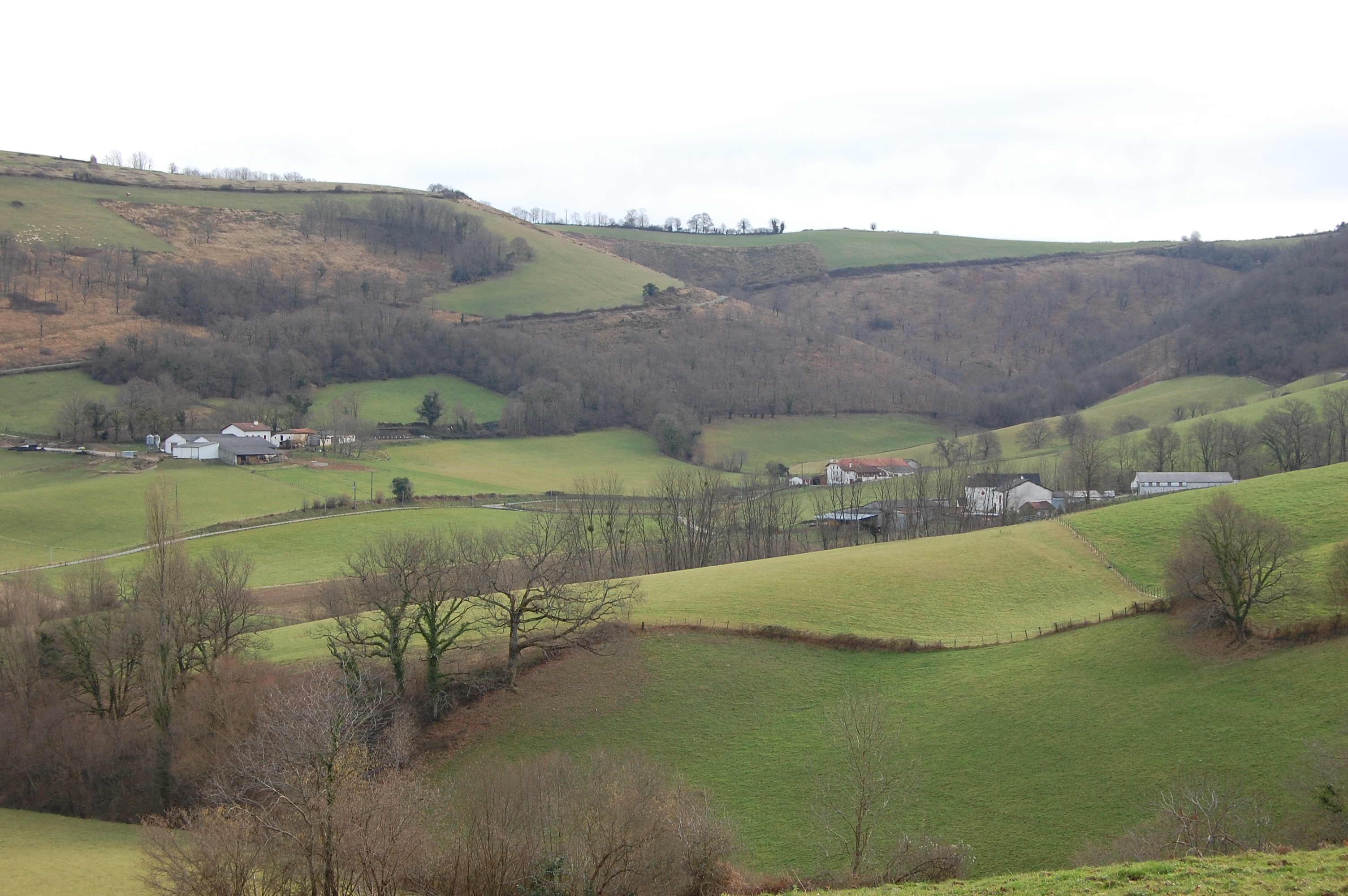 Barrios y casas dispersas