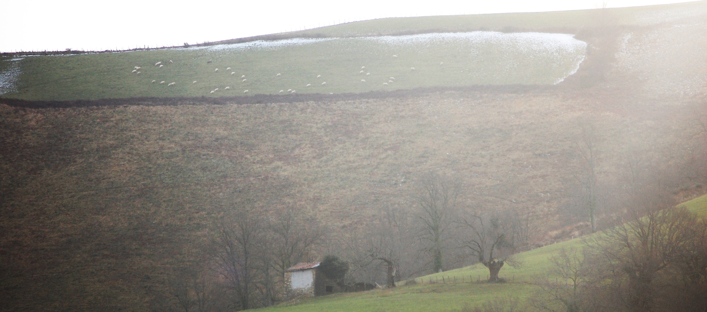 Borda en la montaña