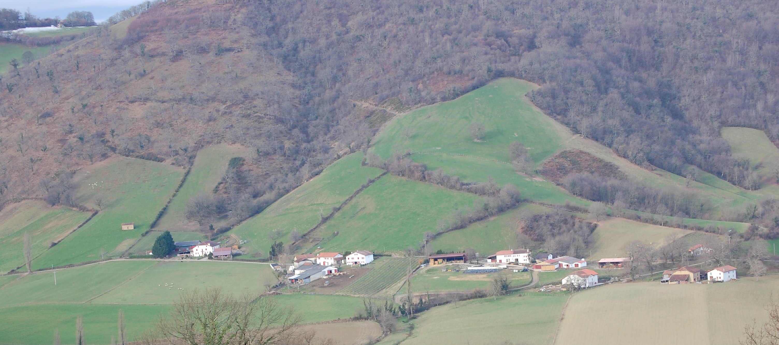Barrios y casas dispersas