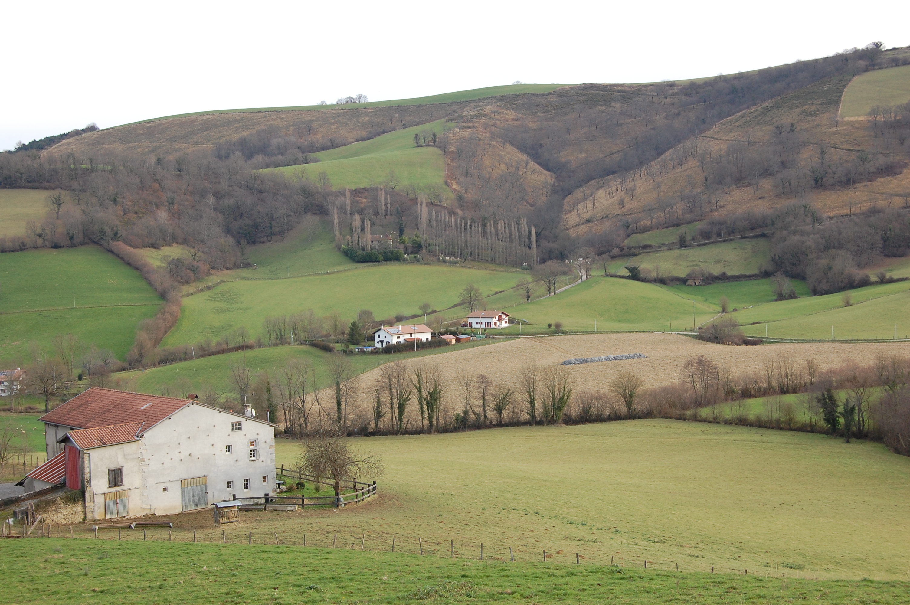 Barrios y casas dispersas