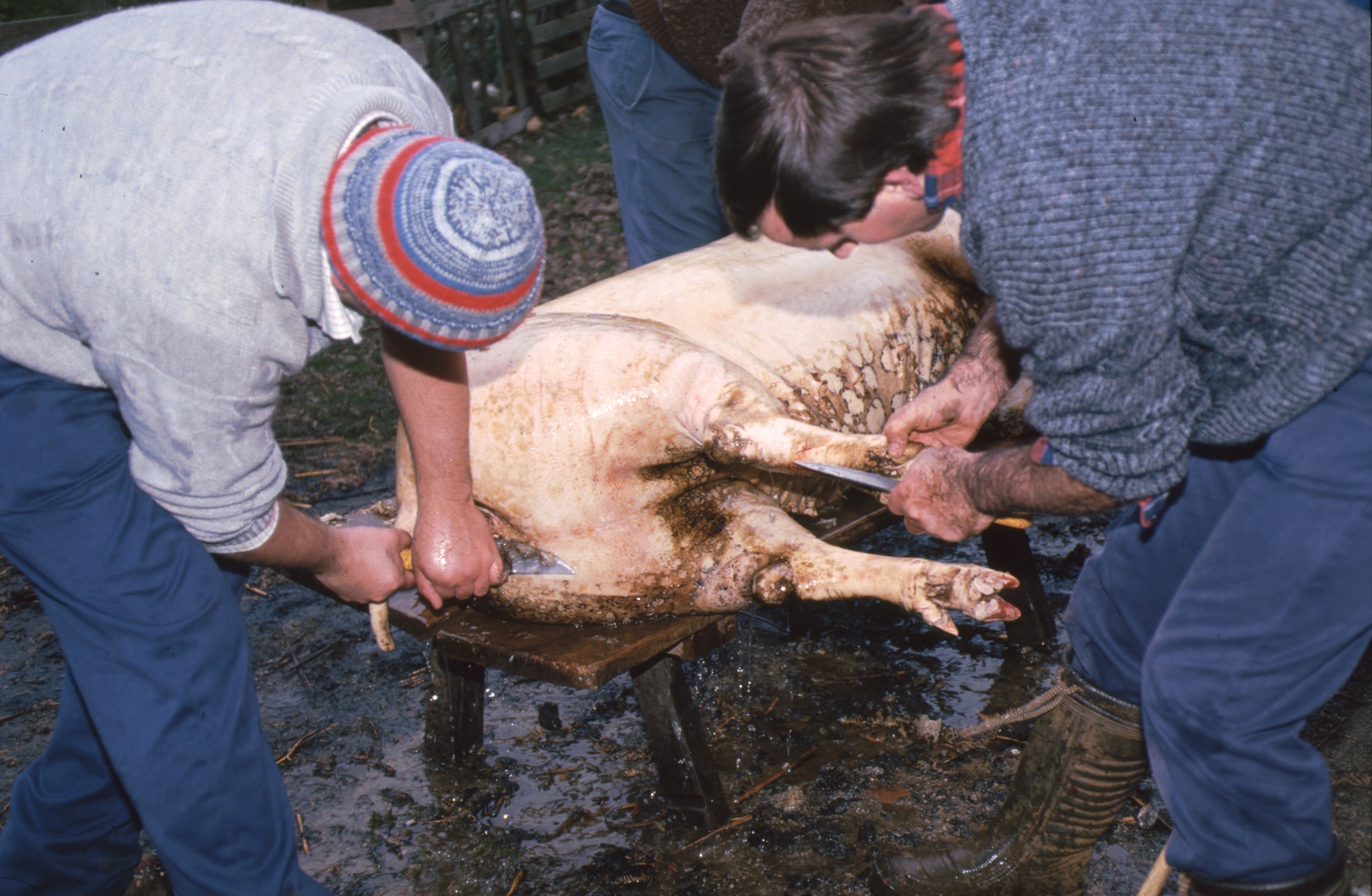 matanza_caserio_boiarre_eugi_31.jpg