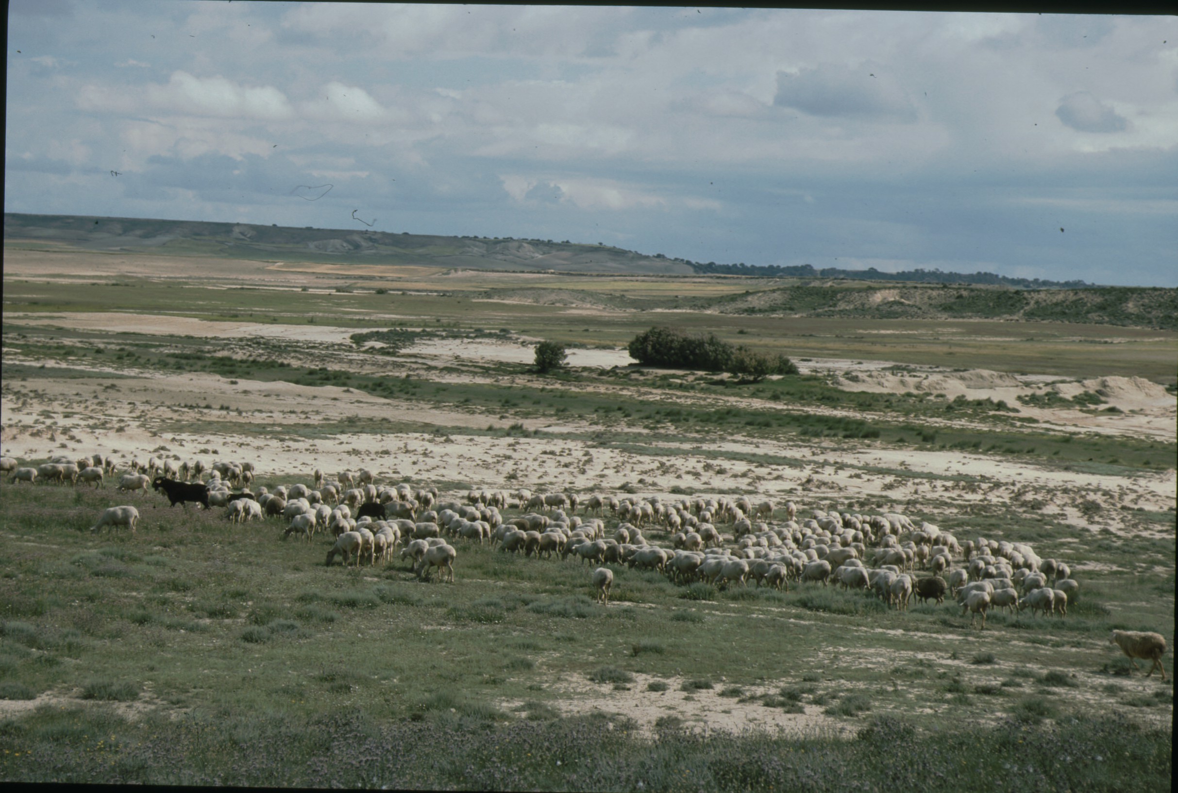 mediacuenca_bardenas_10.jpg