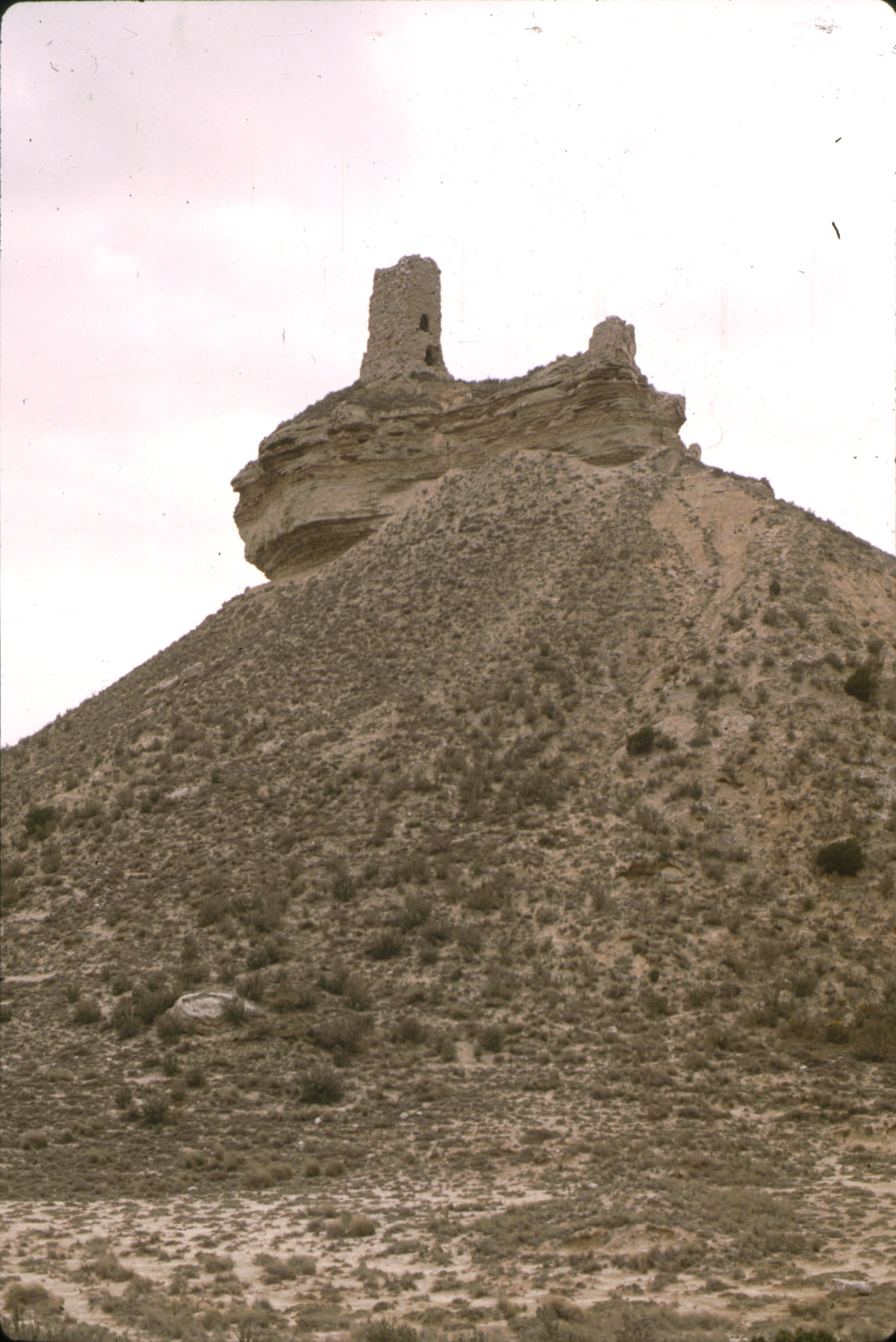 pena_flor_bardenas.jpg