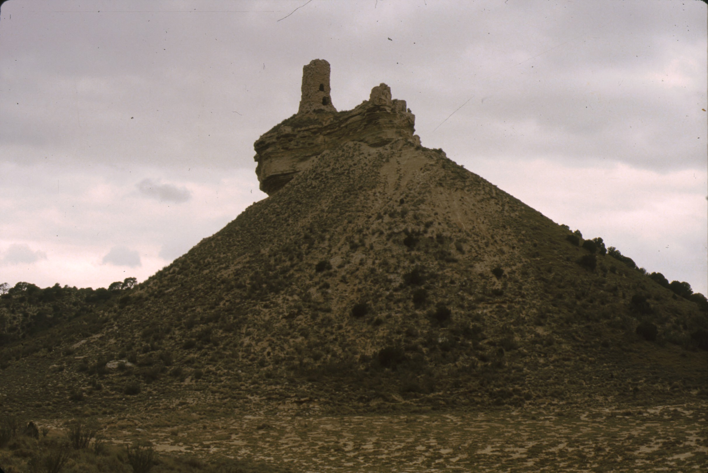 pena_flor_bardenas_2.jpg