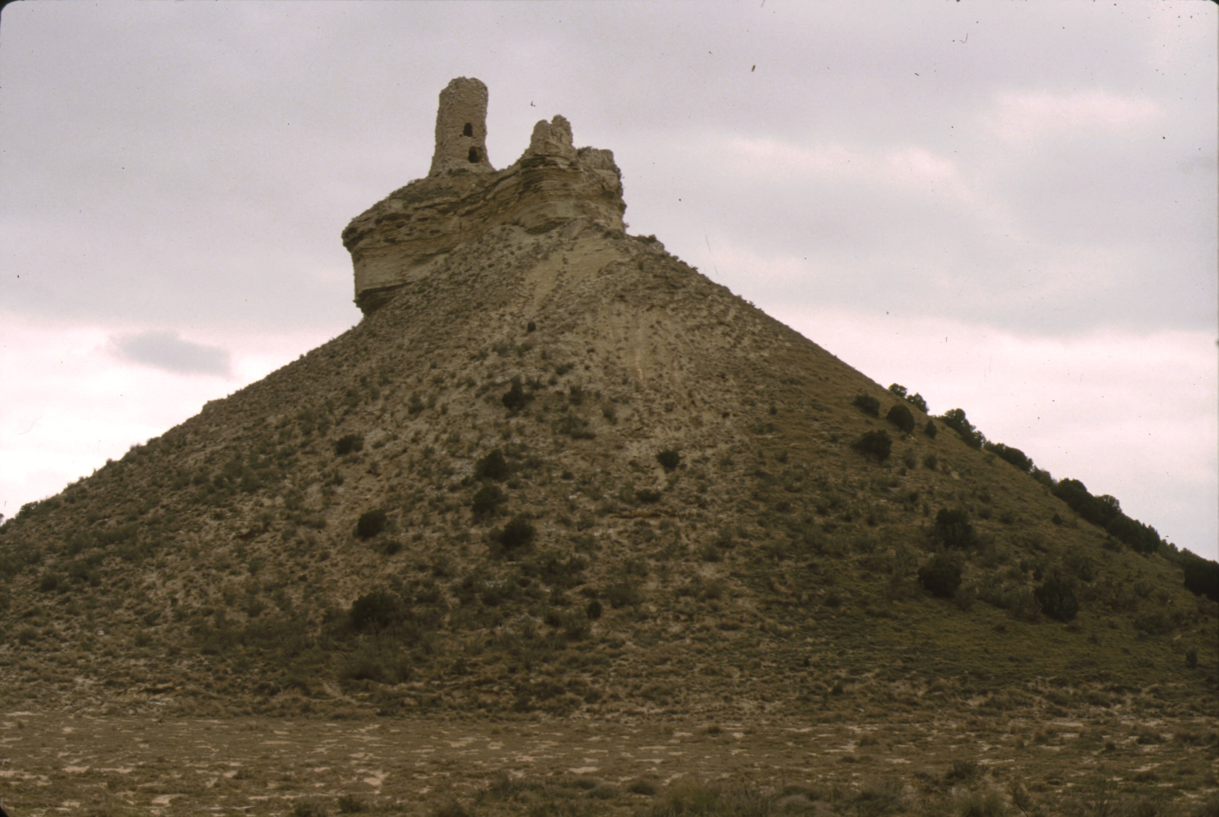 pena_flor_bardenas_3.jpg