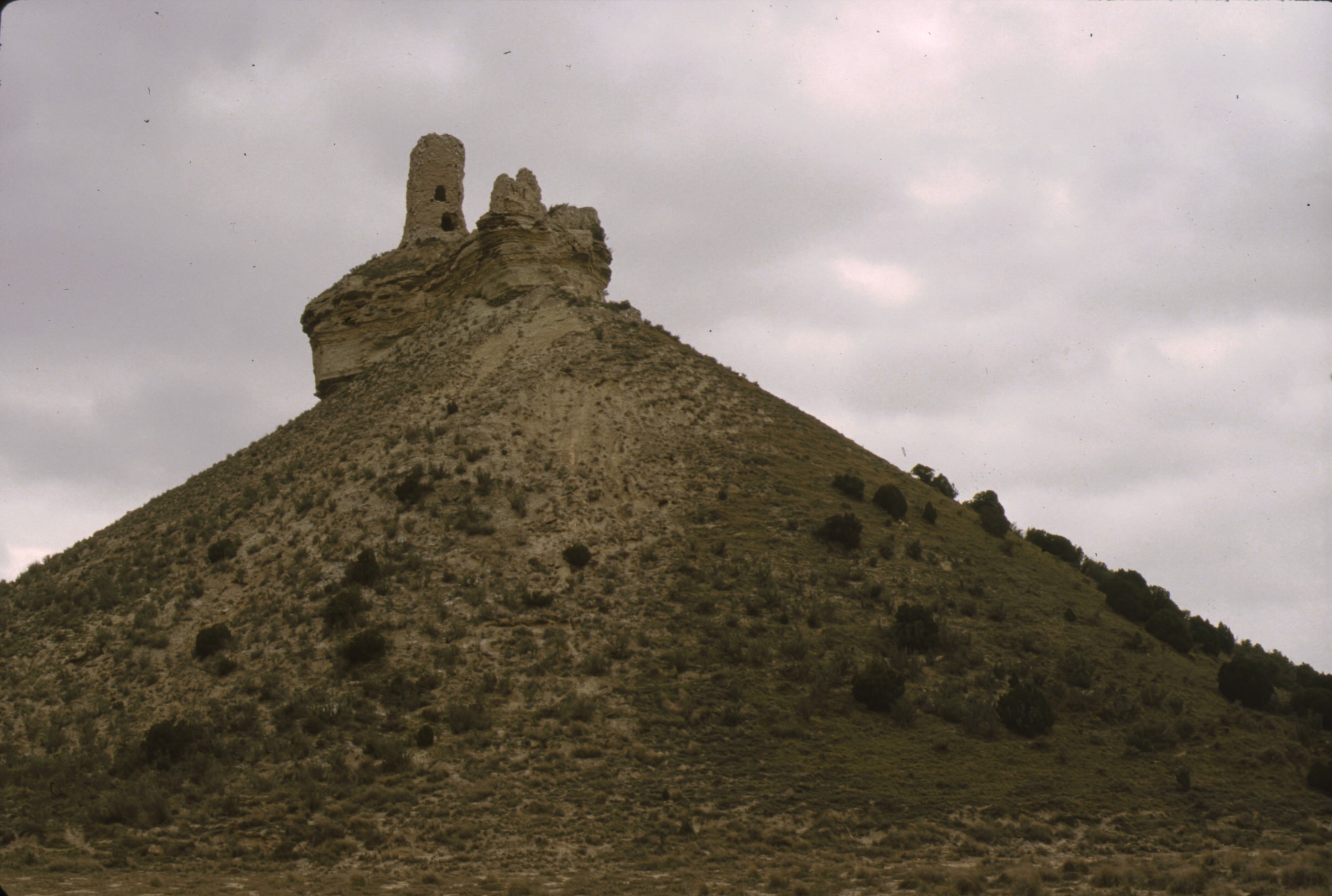 pena_flor_bardenas_4.jpg