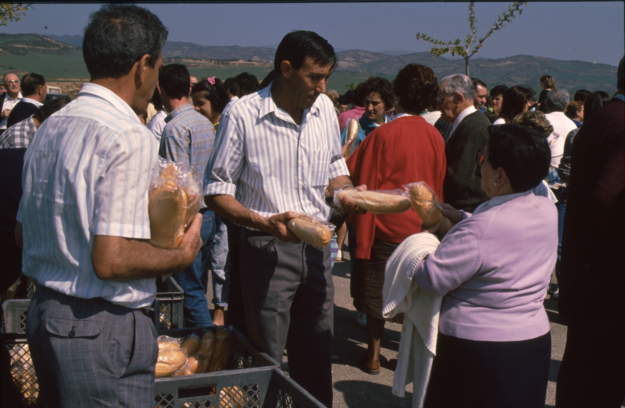 romeria_andion_mendigorria_4.jpg