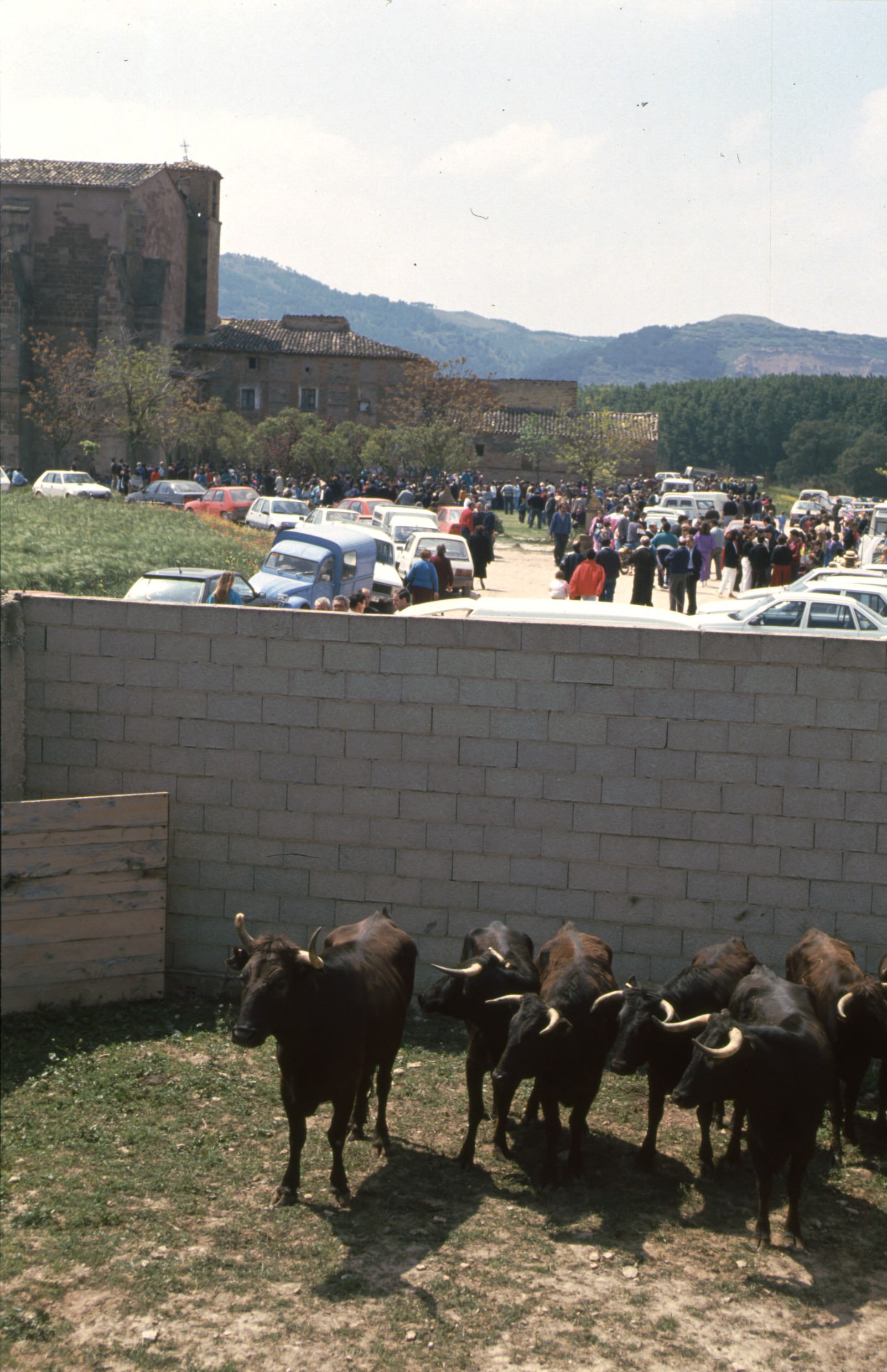 romeria_virgen_legarda_mendavia_9.jpg