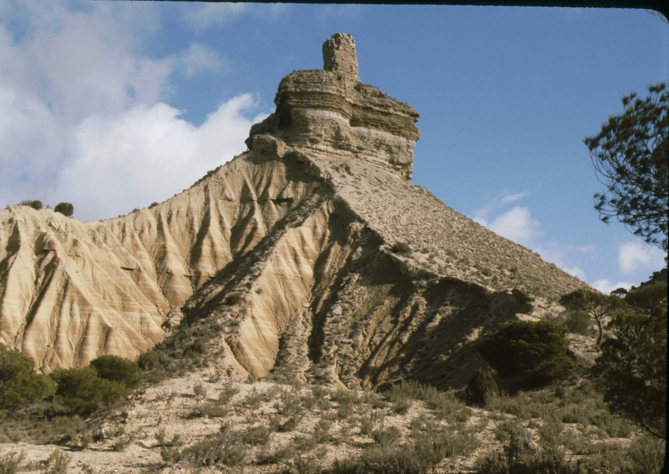 vedado_eguaras_bardenas_31.jpg